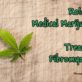 Role of Medical Marijuana in Treating Fibromyalgia