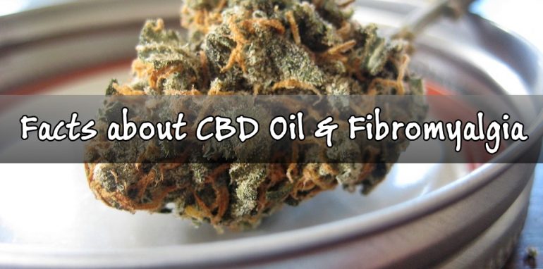 Facts about CBD oil and fibromyalgia