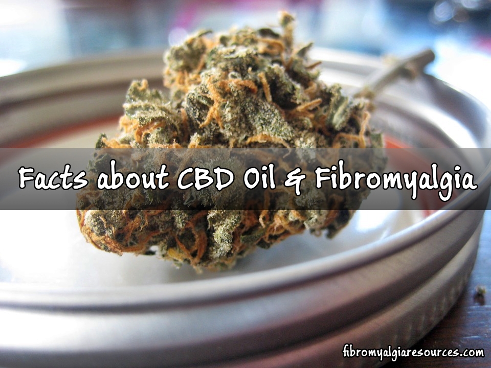 5 Facts about CBD oil and fibromyalgia