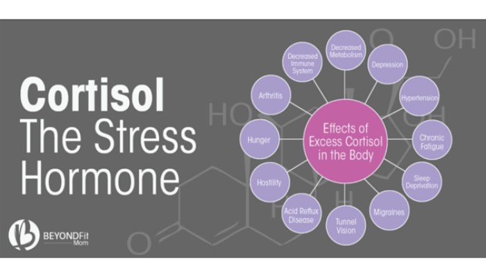 Could controlling Cortisol levels help alleviate fibromyalgia symptoms?