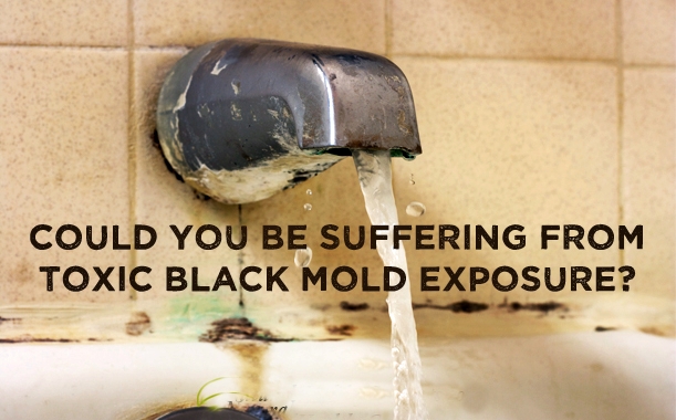 Is there connection between fibromyalgia and Mold?