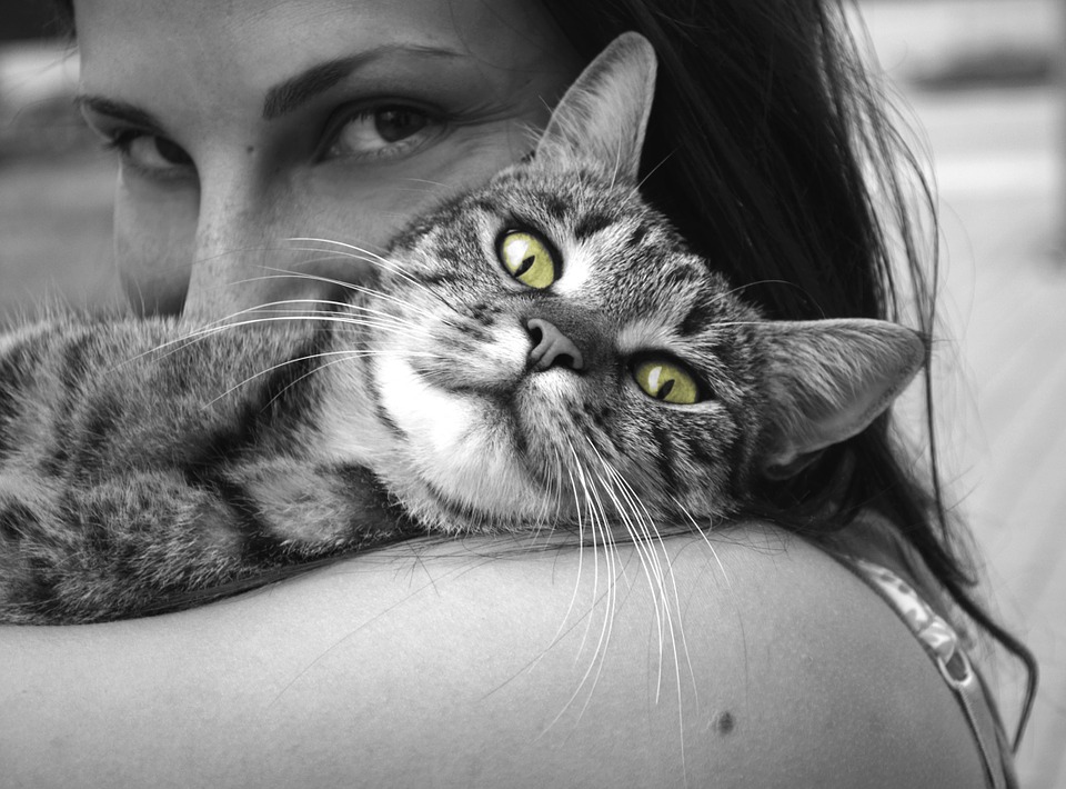 Healing power of Pets in Fibromyalgia and other Illnesses