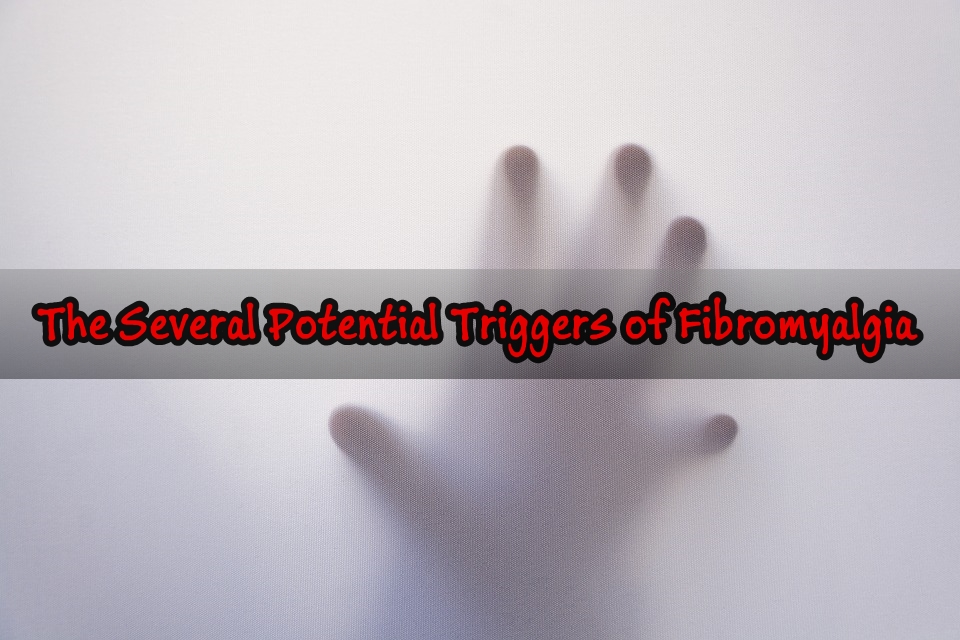 The Several Potential Triggers of Fibromyalgia