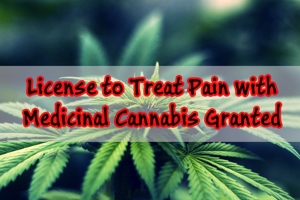 First license granted to treat pain with Medicinal Cannabis