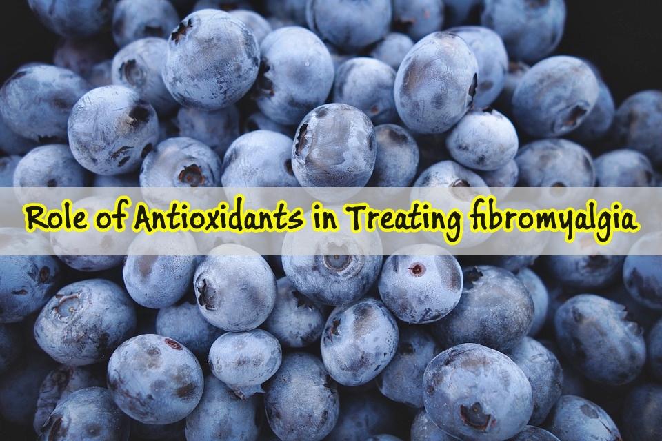 Role of Antioxidants in Treating Fibromyalgia