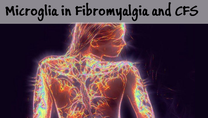 Microglia in Fibromyalgia and Chronic Fatigue Syndrome