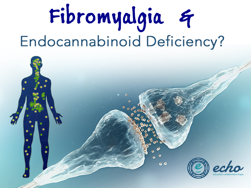 Could Endocannabinoid Deficiency Causes Fibromyalgia?