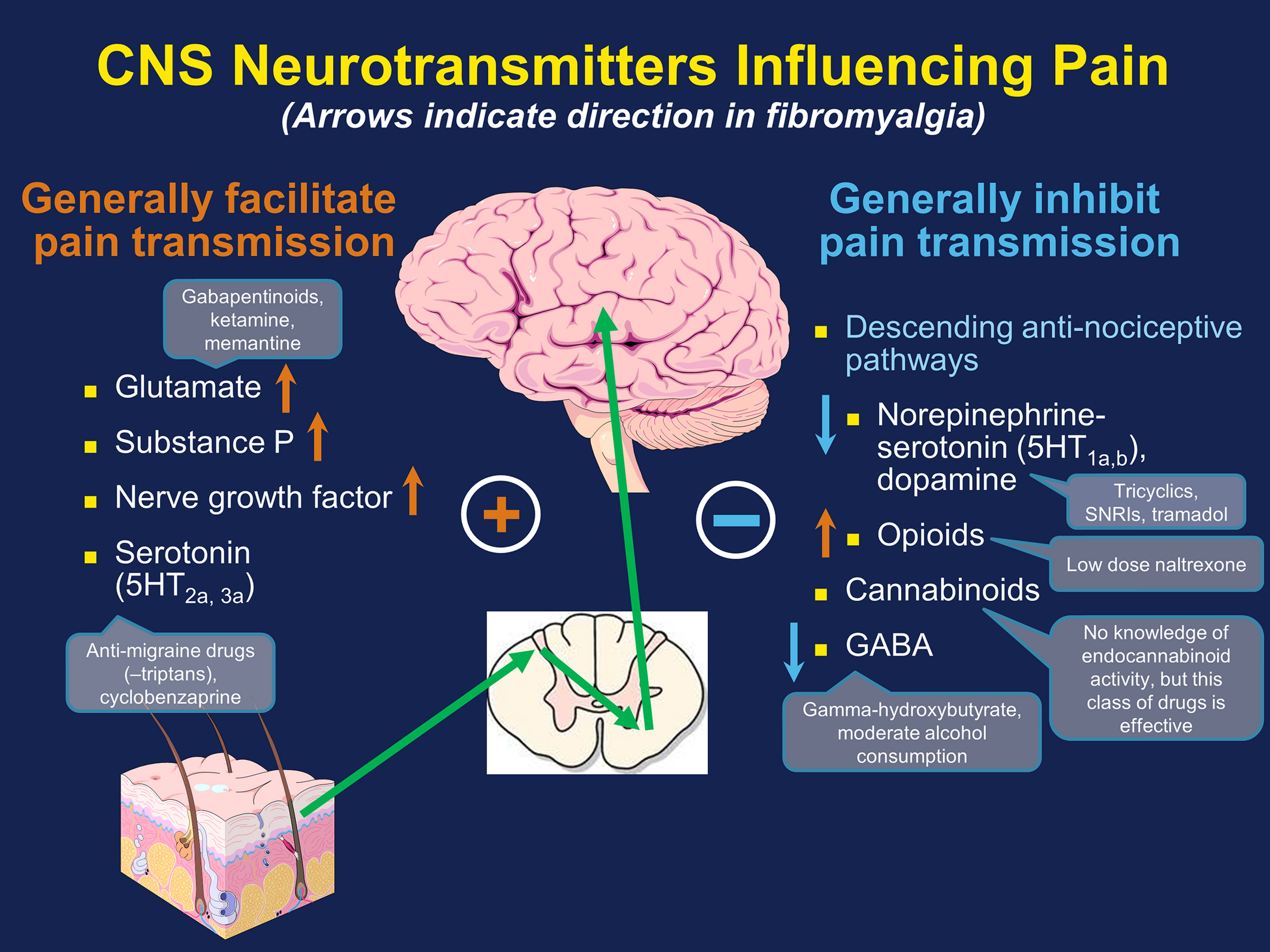 Norepinephrine in Fibromyalgia & Chronic Fatigue Syndrome