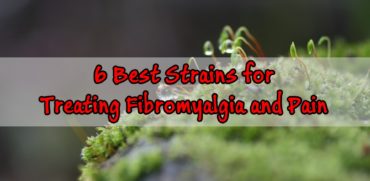 Best Strains for Treating Fibromyalgia and Pain