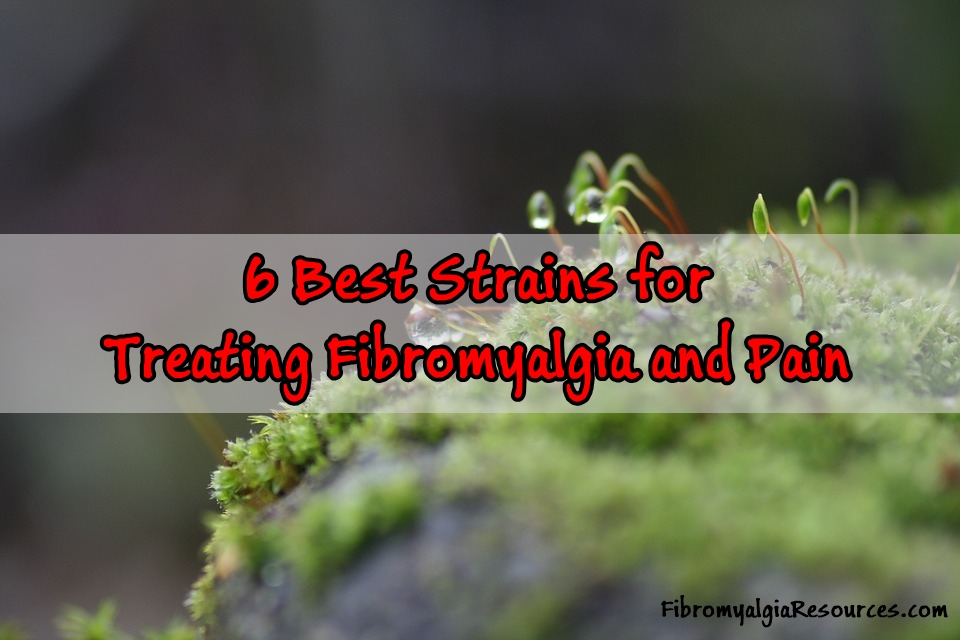 Best Strains for Treating Fibromyalgia and Pain