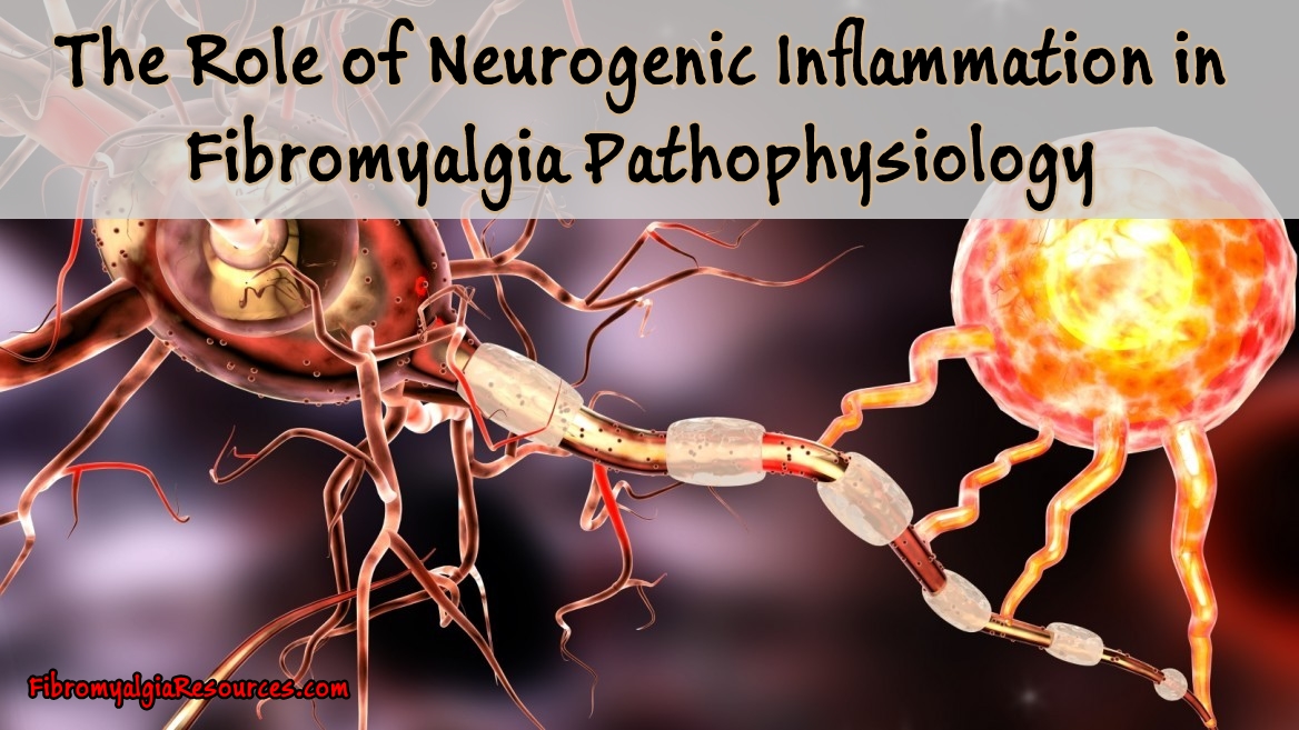 The Role of Neurogenic Inflammation in Fibromyalgia Pathophysiology