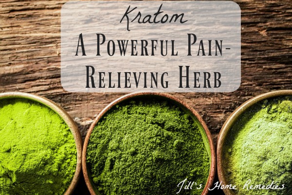 Kratom – A Popular Drug That Helps Ease Fibromyalgia Pain