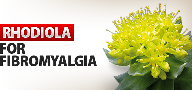 Rhodiola for Fibromyalgia