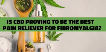 Is CBD Proving to Be the Best Pain Reliever for Fibromyalgia?